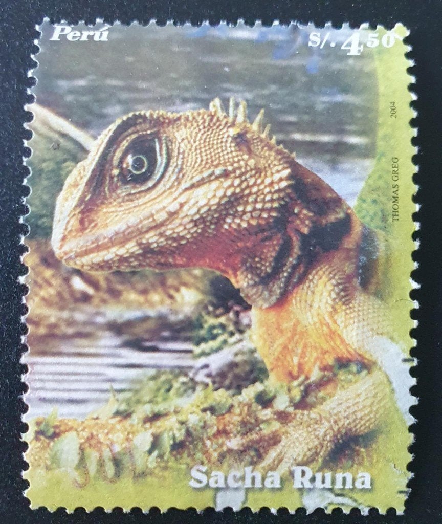 148-26 Peru 2004 / Sacha Runa, Verzenden, Gestempeld, Zuid-Amerika