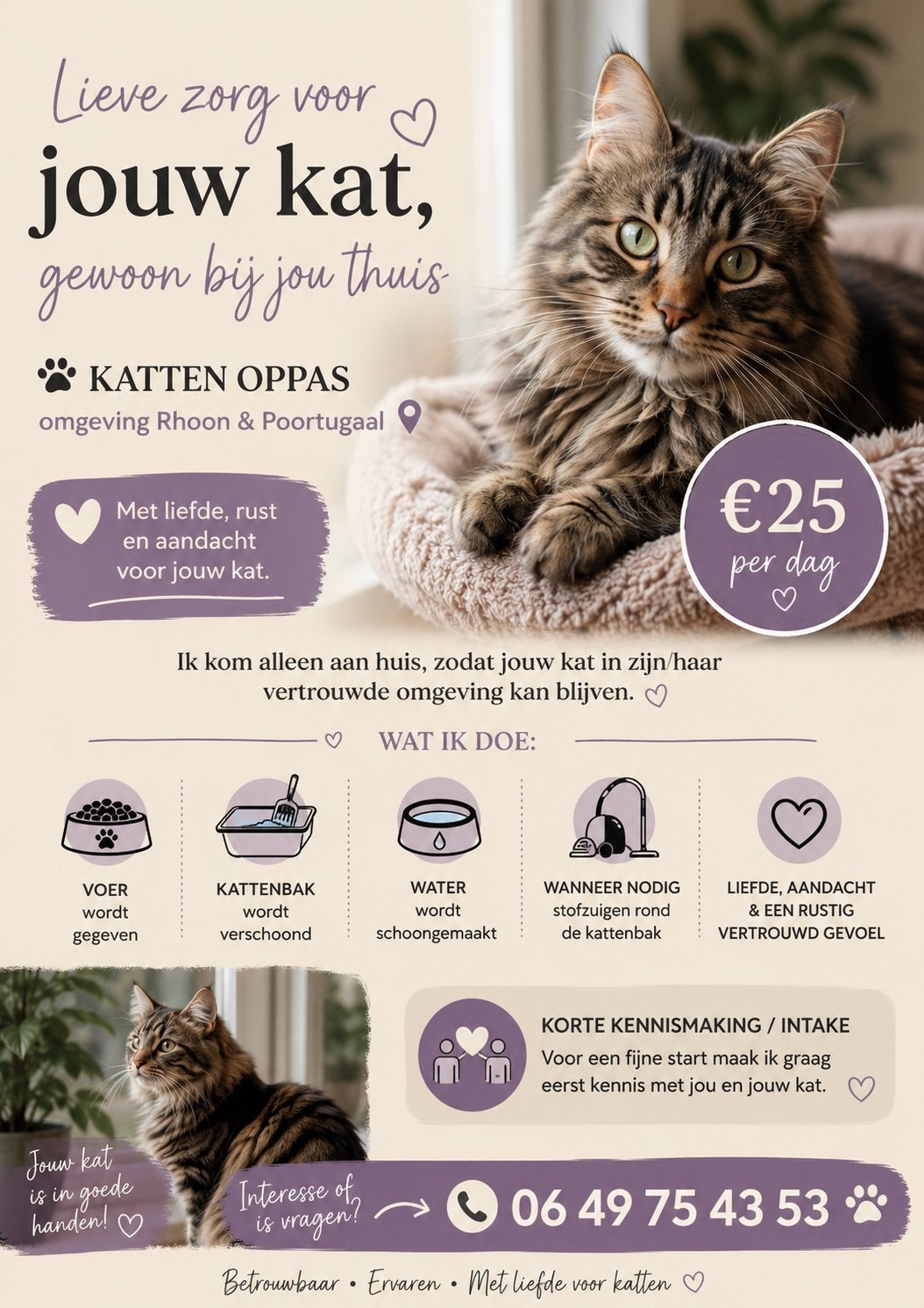 Kattenoppas omgeving RHOON/POORTUGAAL/HOOGVLIET, Ophalen of Verzenden