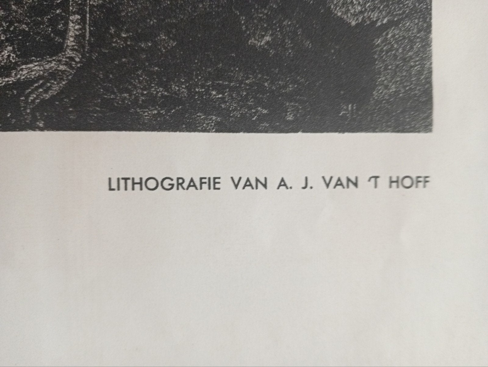 Lithografie van A.J. van 't Hoff - Lepelaars, Ophalen of Verzenden