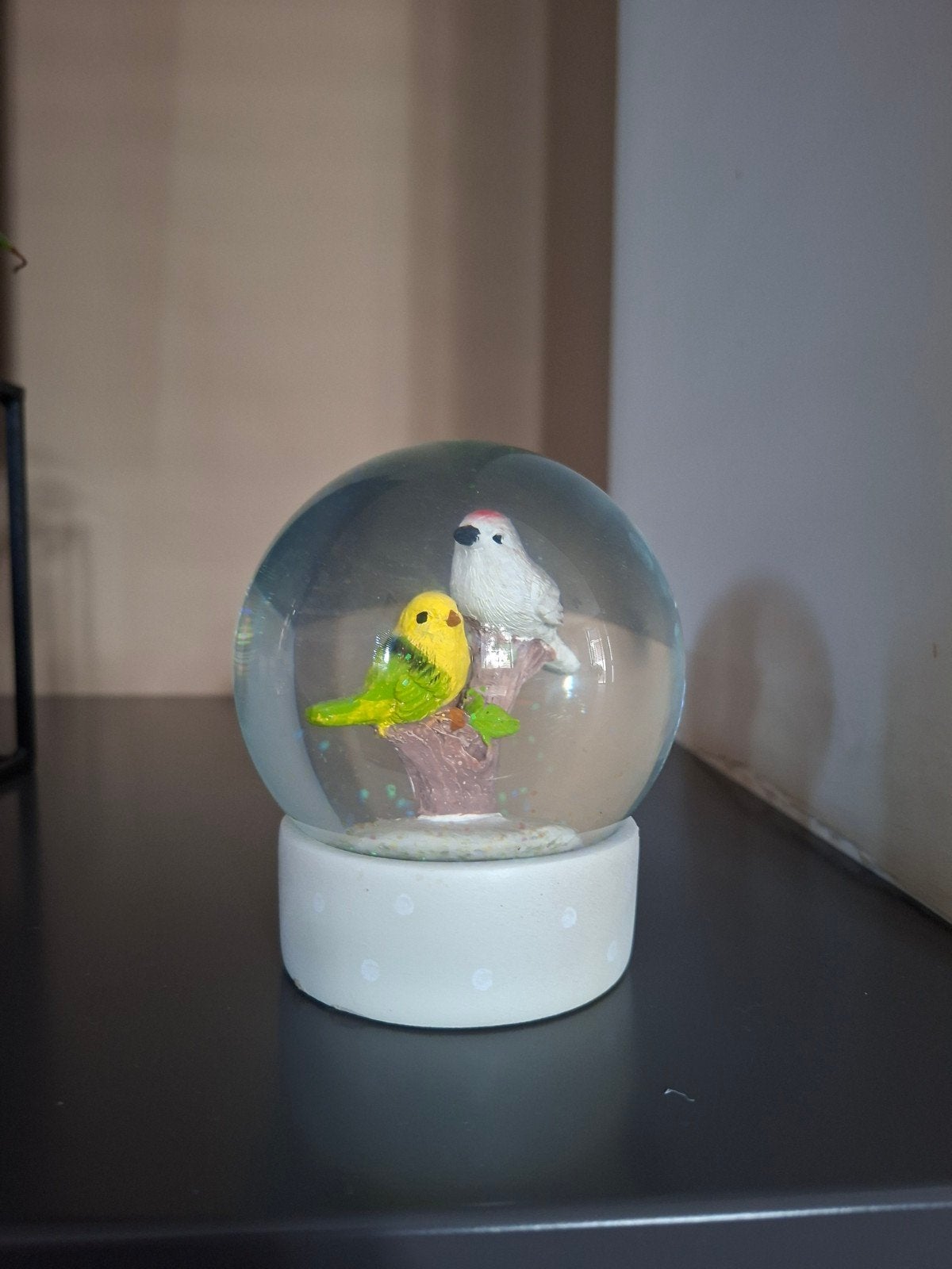 Sneeuwbol met parkieten – leuke decoratie, Ophalen of Verzenden, Gebruikt, Meerkleurig, Glas