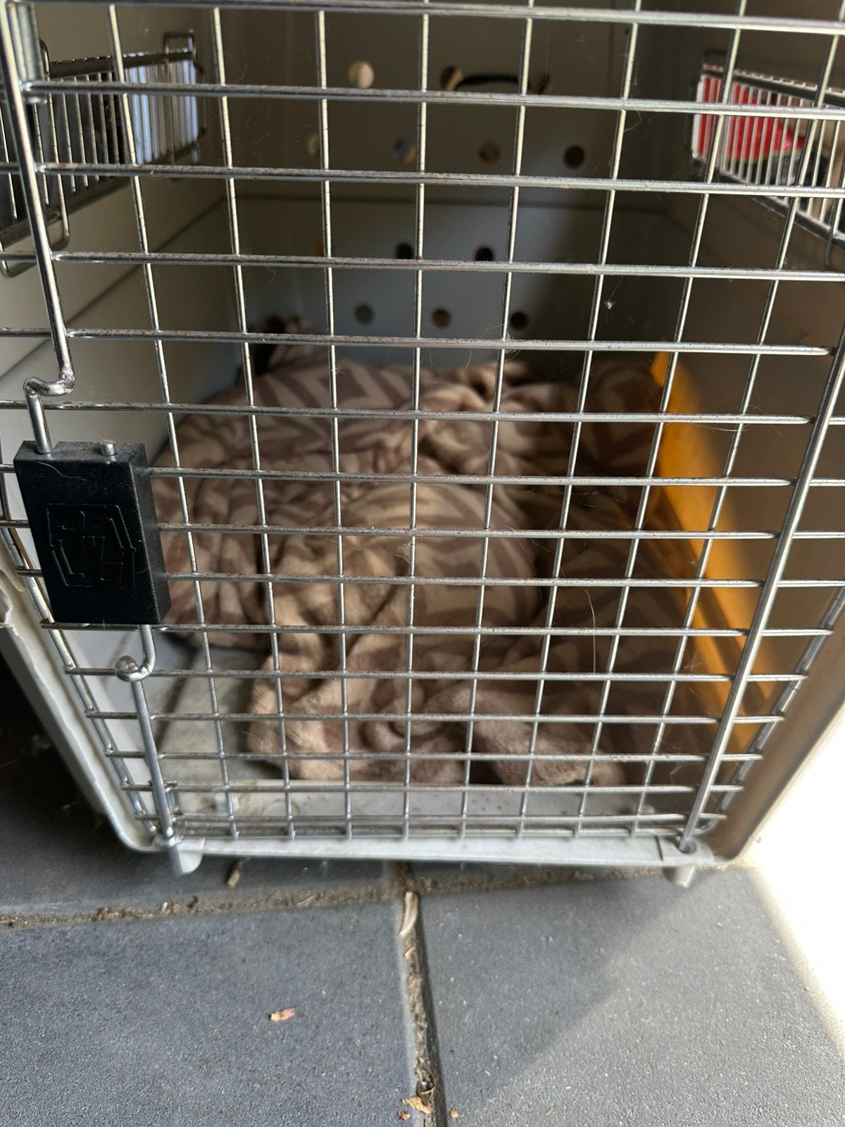 Reismand voor meer katten of een hond, Ophalen, Zo goed als nieuw, Minder dan 75 cm, Minder dan 65 cm