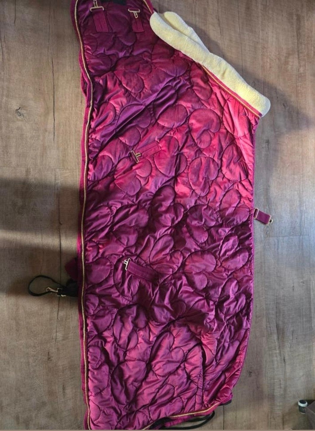 Nieuwe staldeken., Extra Full (XL), Ophalen, Nieuw, Deken