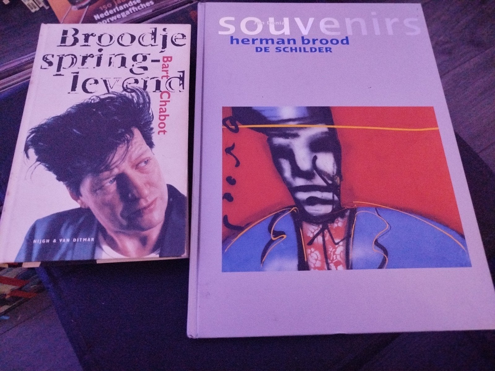 HERMAN BROOD SOUVENIRS DE SCHILDER + BROODJE SPRINGLEVEND, Ophalen of Verzenden, Zo goed als nieuw, Jan Donia, Overige onderwerpen