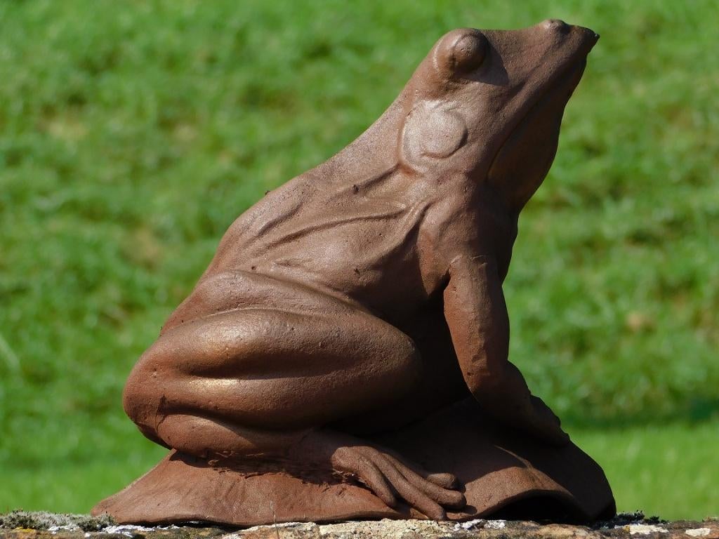 Beeld Kikker - Oxide - Gietijzer, Tuin en Terras, Tuinbeelden, Dierenbeeld, ., Ophalen of Verzenden, .