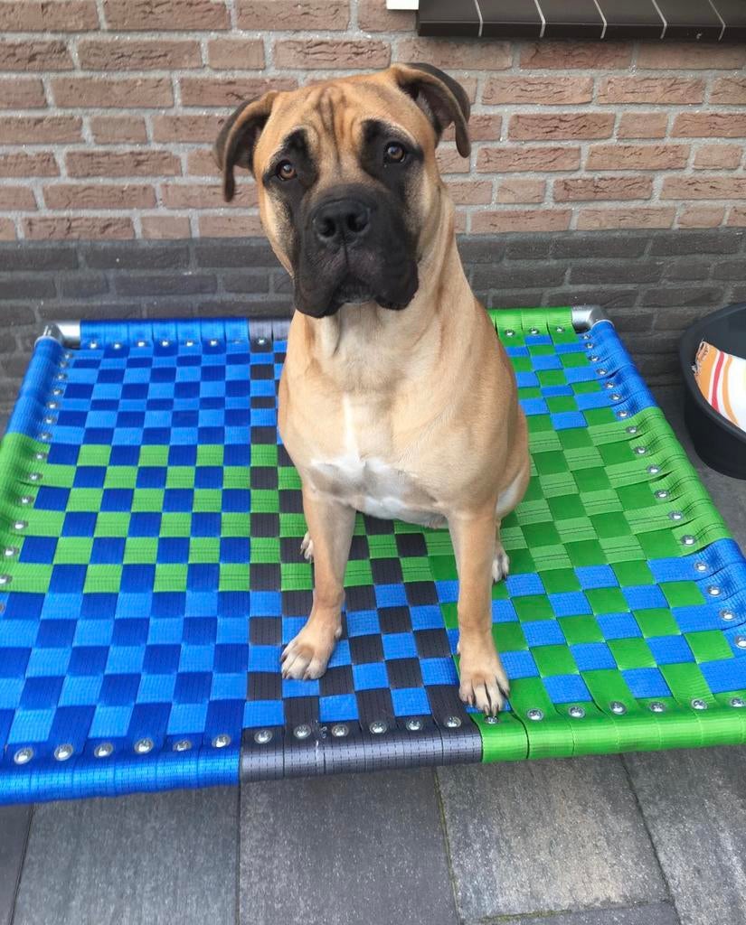 Hondenmand ✅ hondenstretchers hondenmand hondenbed bench, Dieren en Toebehoren, Ophalen of Verzenden, Nieuw, Overige