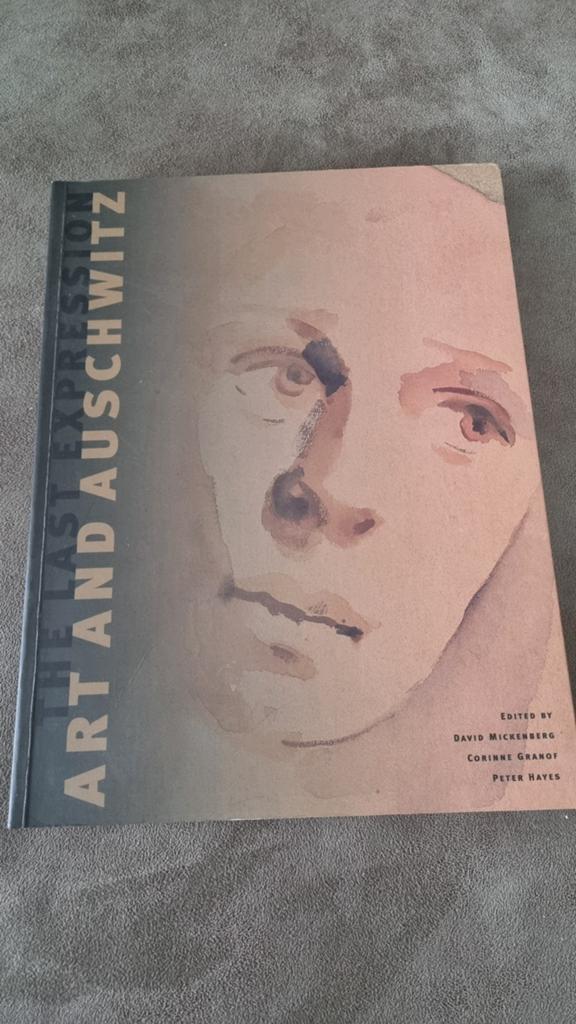 The Last Expression: Kunst en Auschwitz, Tweede Wereldoorlog, Ophalen of Verzenden, Zo goed als nieuw, David Mickenberg, Corinne Granof, Peter Hayes
