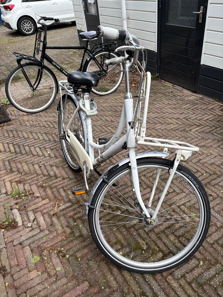 Batavus damesfiets met voordrager - opknapper, Ophalen, Versnellingen, Batavus, Trommelrem