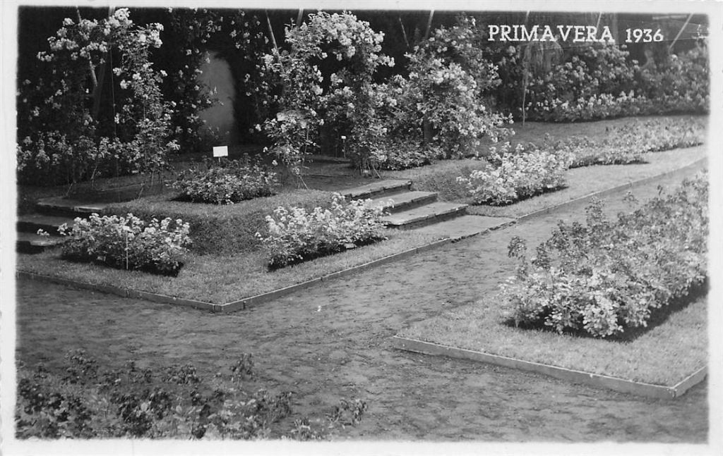 703-448-061 Rotterdam Primavera 1936, Verzamelen, Ophalen of Verzenden, Voor 1920, Zuid-Holland