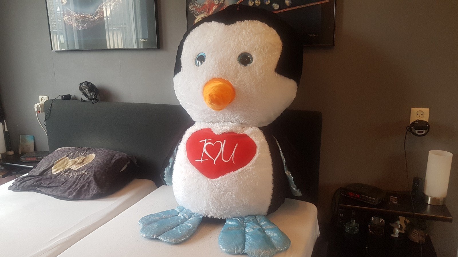 TYBEANYBOO KNUFFEL GROOOOOT, Ophalen, Nieuw, Overige typen, Groot (groter dan 80 cm)