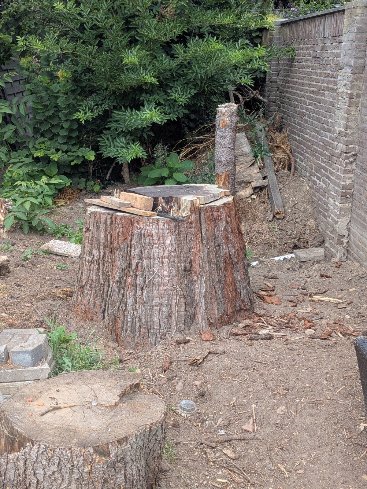 Ca halve kuub hout (spar/den) gratis, Tuin en Terras, Haardhout, Minder dan 3 m³, Ophalen
