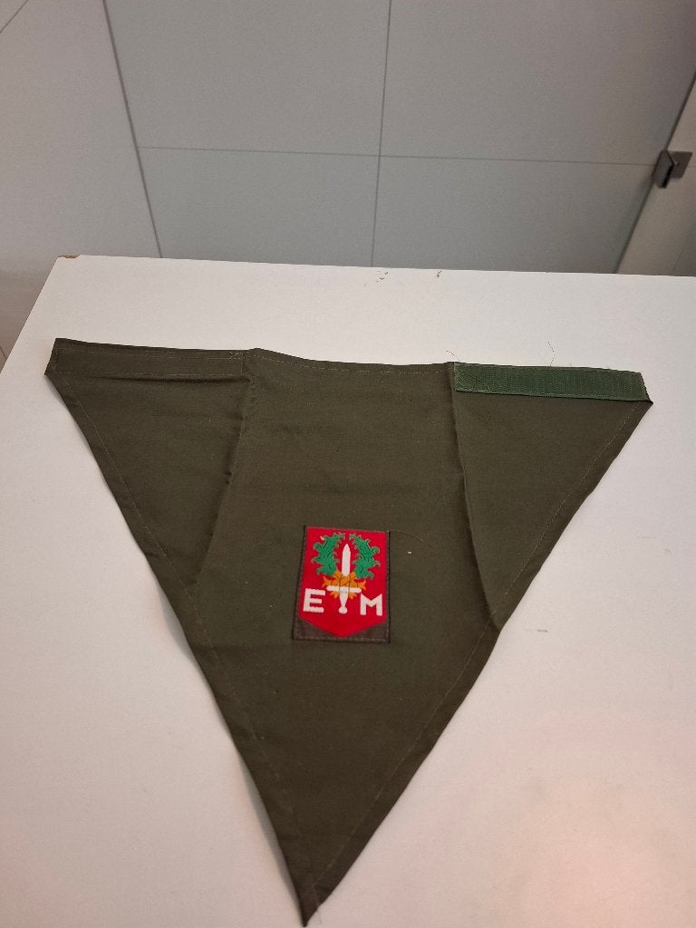1ste  divisie 7 dec embleem expeditionaire Nederlands Indie, Verzamelen, Ophalen of Verzenden, Landmacht, Nederland, Embleem of Badge