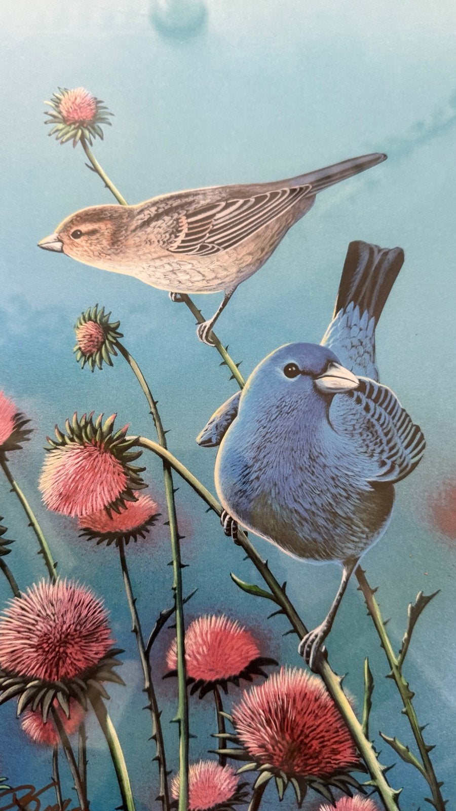 Gesigneerde print Doug Walpus - Vogels en distels, Ophalen