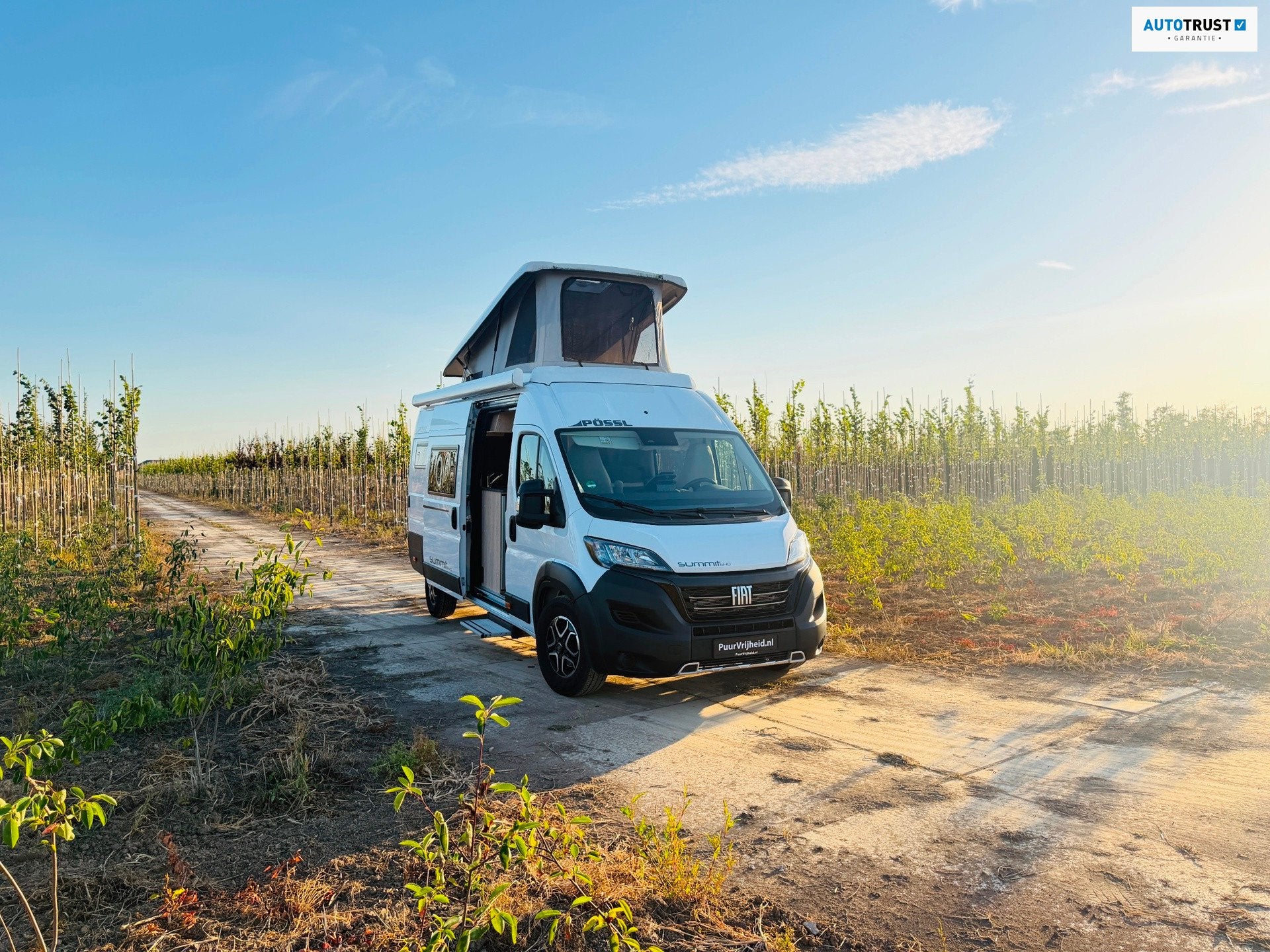 Pössl Summit 640 180PK AUTOMAAT HEFDAK / BUSBIKER / SOLAR /, Automaat, Buscamper of Camperbus, Pössl, 6 tot 7 meter