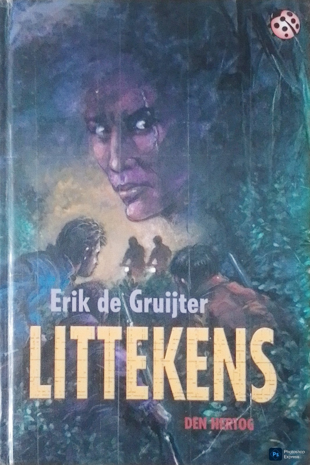 Littekens, Boeken, Gelezen, Erik De Gruijter., Ophalen of Verzenden, Fictie