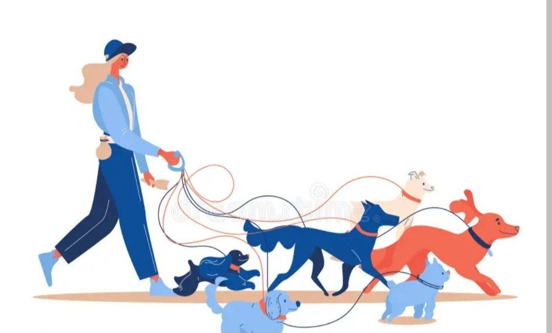 hondoppas, hondpension, hond uitlaten, Vacatures, Overige niveaus, Vanaf 10 jaar, Overige vormen