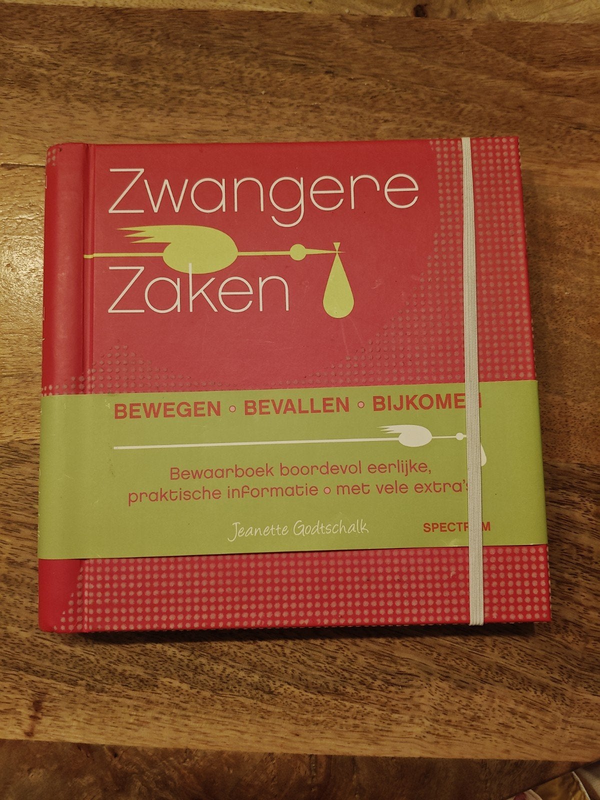Zwangerschap en Bevalling: Zwangere Zaken - Jeanette Godts, Boeken, Ophalen of Verzenden, Zo goed als nieuw, Zwangerschap en Bevalling