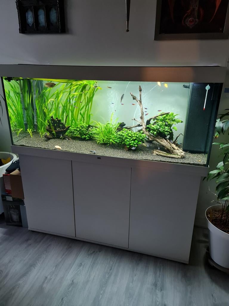Tekoop gevuld en kompleet aquarium met alles erop en aan, Dieren en Toebehoren, Vissen | Aquaria en Toebehoren, Ophalen, Gebruikt