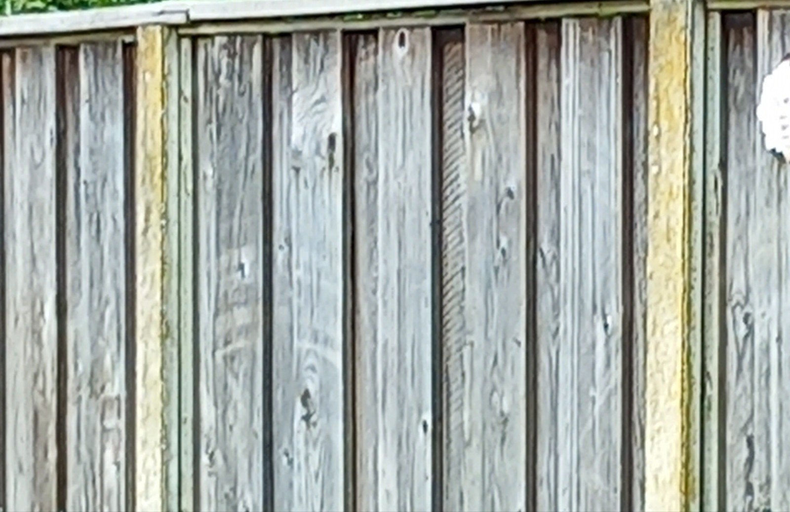 Schutting gezocht, Tuin en Terras, Schuttingen, 6 meter of meer, Ophalen of Verzenden, Hout, 1 tot 2 meter