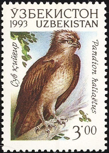 OEZBEKISTAN 11 - Dieren: vogels (visarend), Verzenden, Postfris, Dier of Natuur
