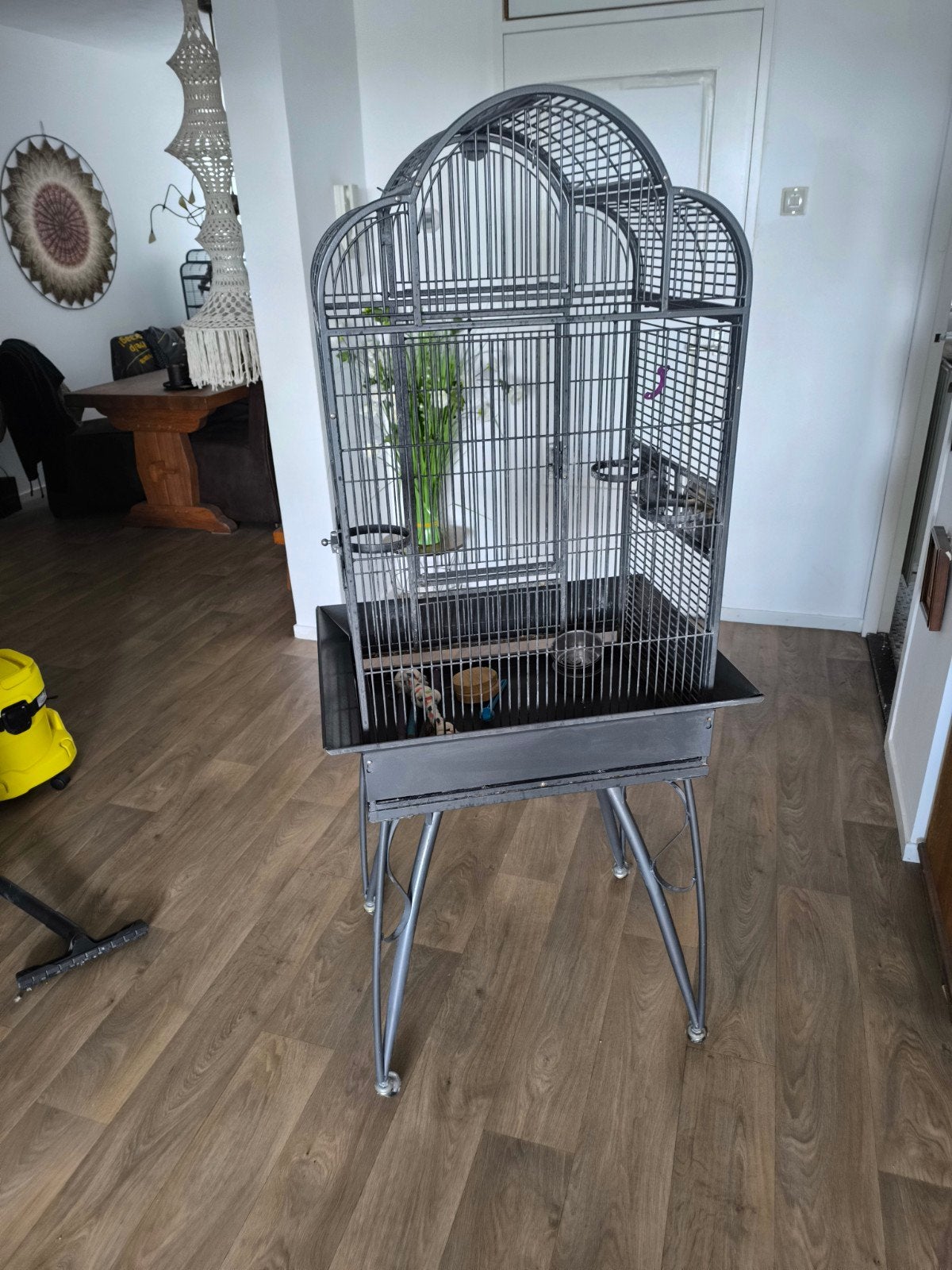 vogelkooi, Ophalen, Gebruikt, Metaal, Vogelkooi