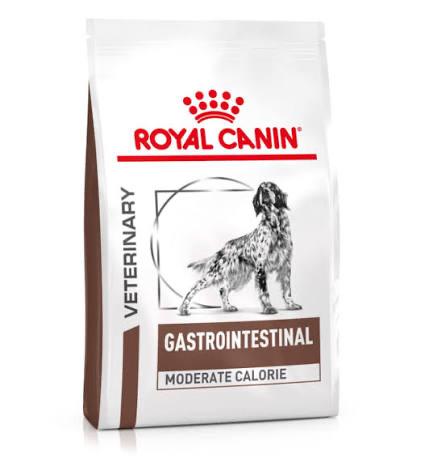Hondenbrok ROYAL CANIN, Dieren en Toebehoren, Dierenvoeding, Ophalen, Hond