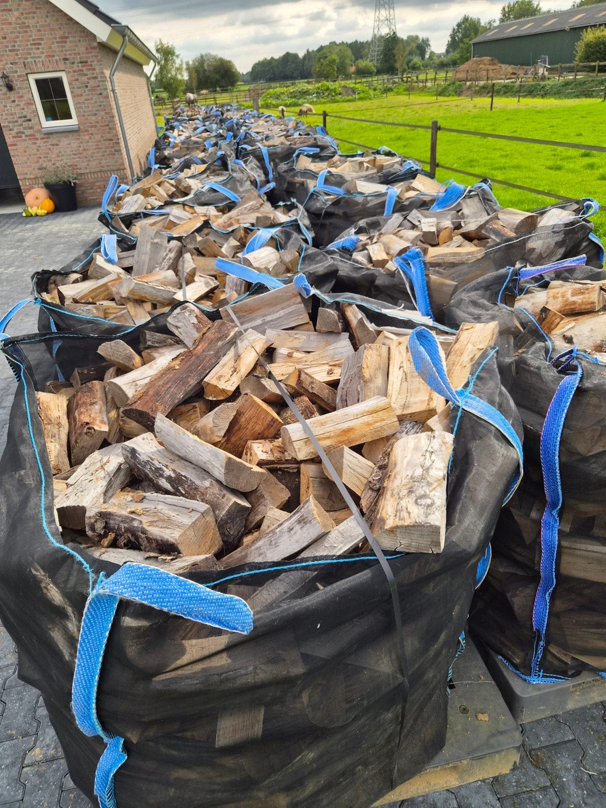 Droog beukenhout, direct stookbaar, 1.2 kuub per zak, Minder dan 3 m³, Ophalen, Beukenhout