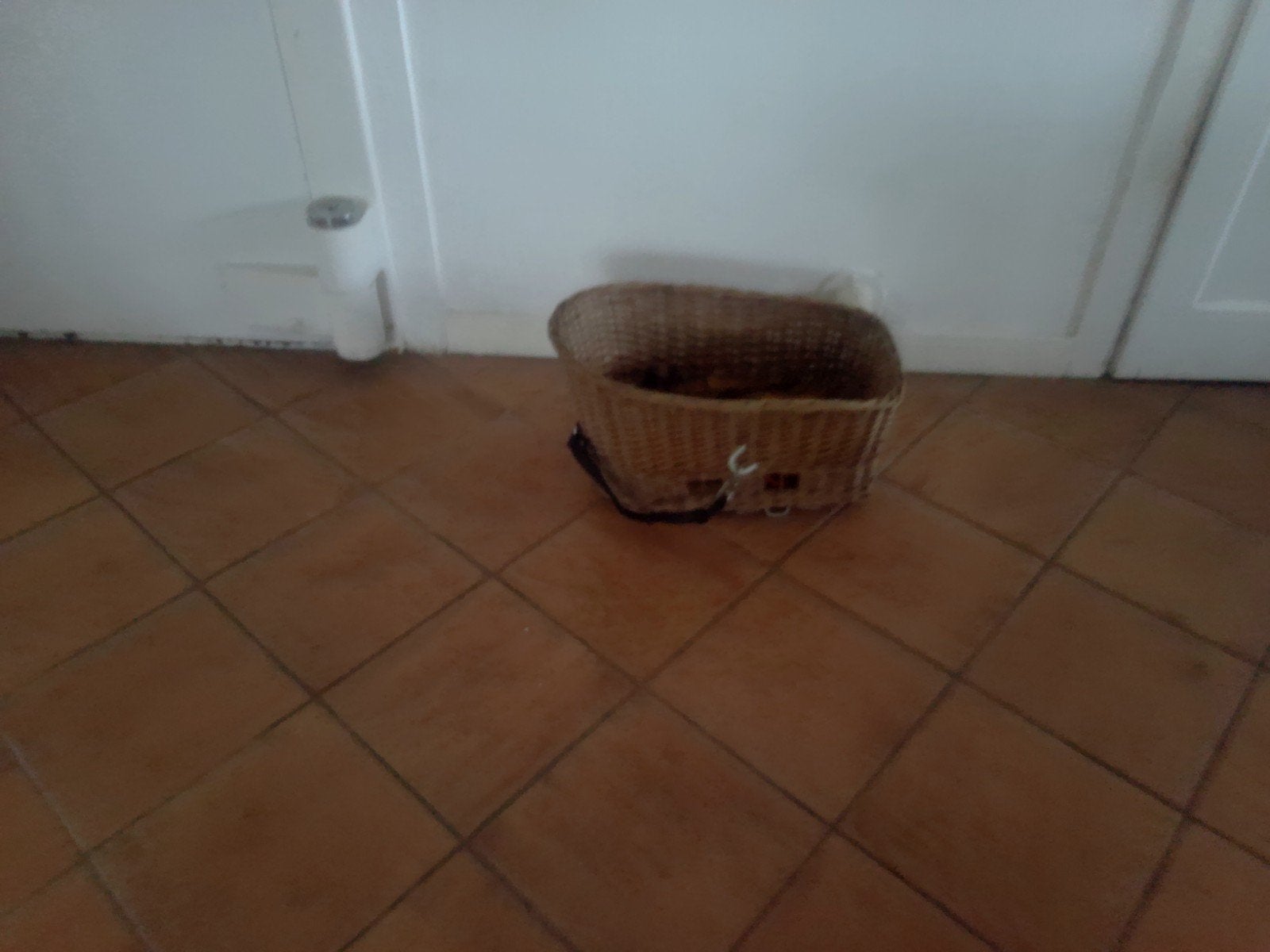 hondenfietsmand, Dieren en Toebehoren, Honden-accessoires, Ophalen of Verzenden