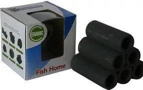 sf shrimp garnalen flat €10,75, Dieren en Toebehoren, Vissen | Aquaria en Toebehoren, ., Overige typen, Nieuw, Ophalen of Verzenden