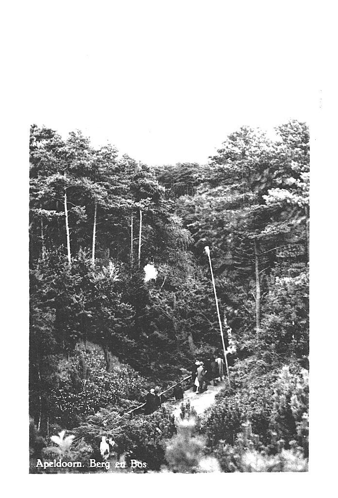 940505 Apeldoorn Berg en Bos 1949 Gelopen met Postzegel, Ophalen of Verzenden, 1940 tot 1960, Gelopen, Gelderland