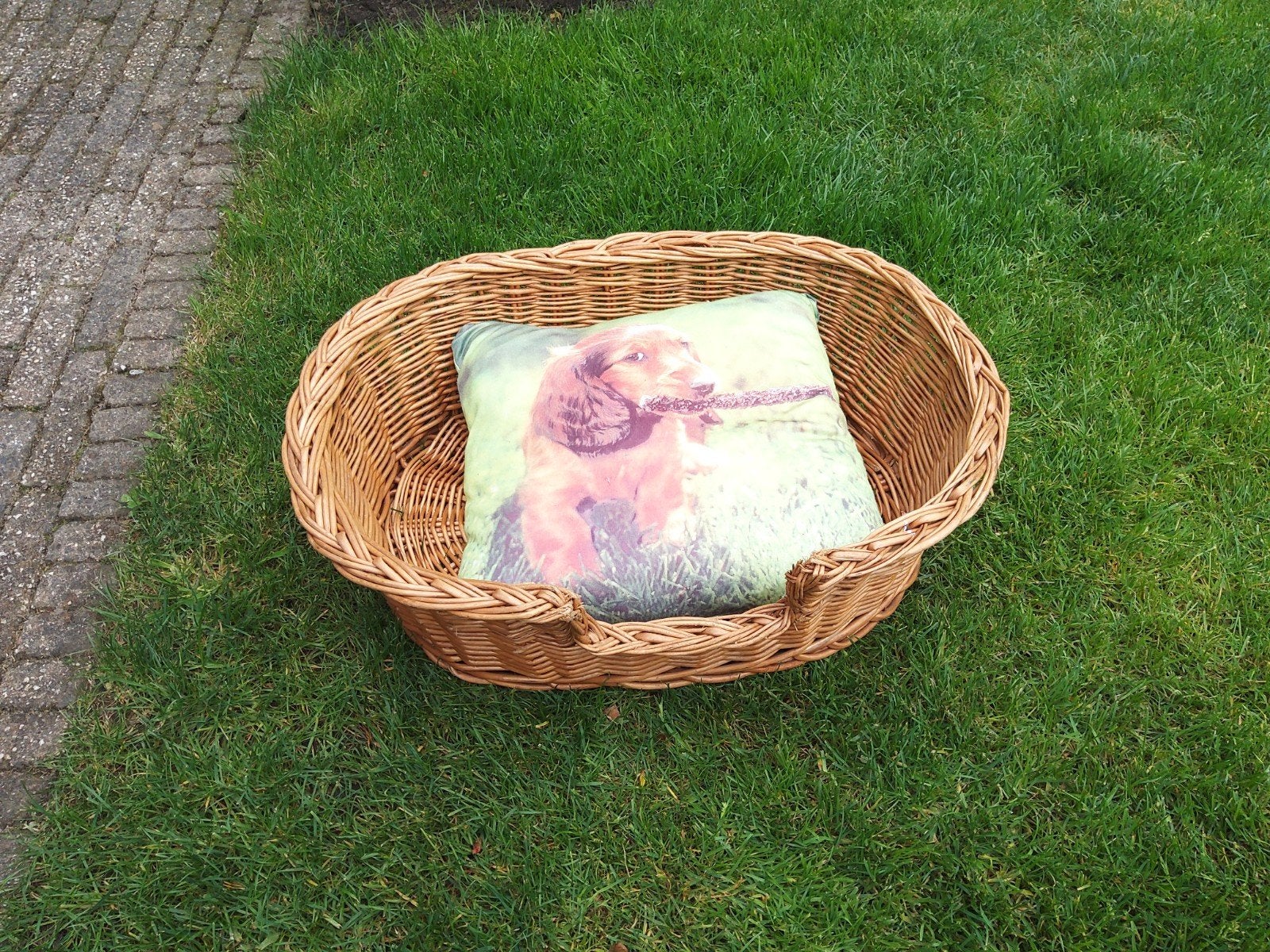 Hondenmandje, Dieren en Toebehoren, Ophalen, Gebruikt