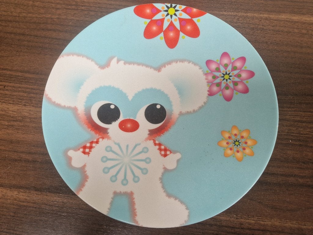 leuk vrolijk kinderbordje, Kunststof, Ophalen of Verzenden, Zo goed als nieuw, Bord(en)