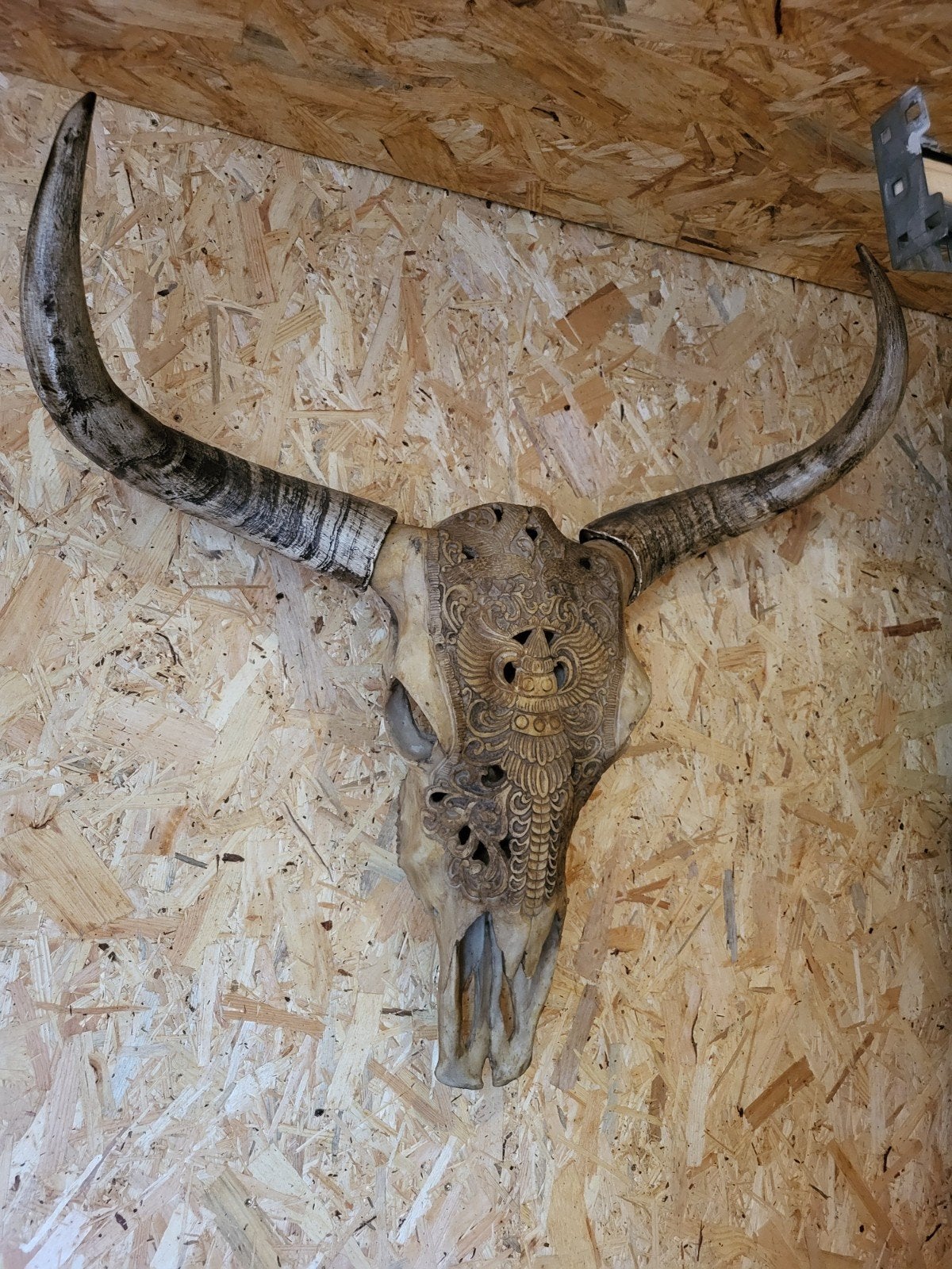 schedel dier. (skull), Huis en Inrichting, Ophalen of Verzenden, Zo goed als nieuw