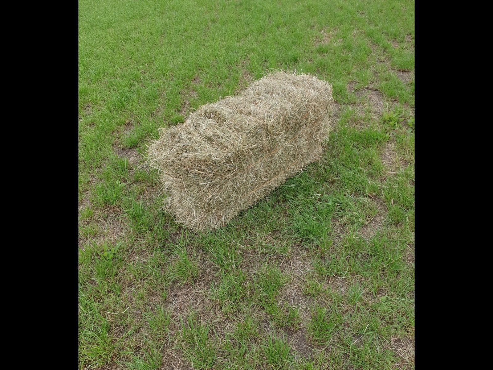 Kleine baal hooi, Ophalen of Verzenden, Overige soorten
