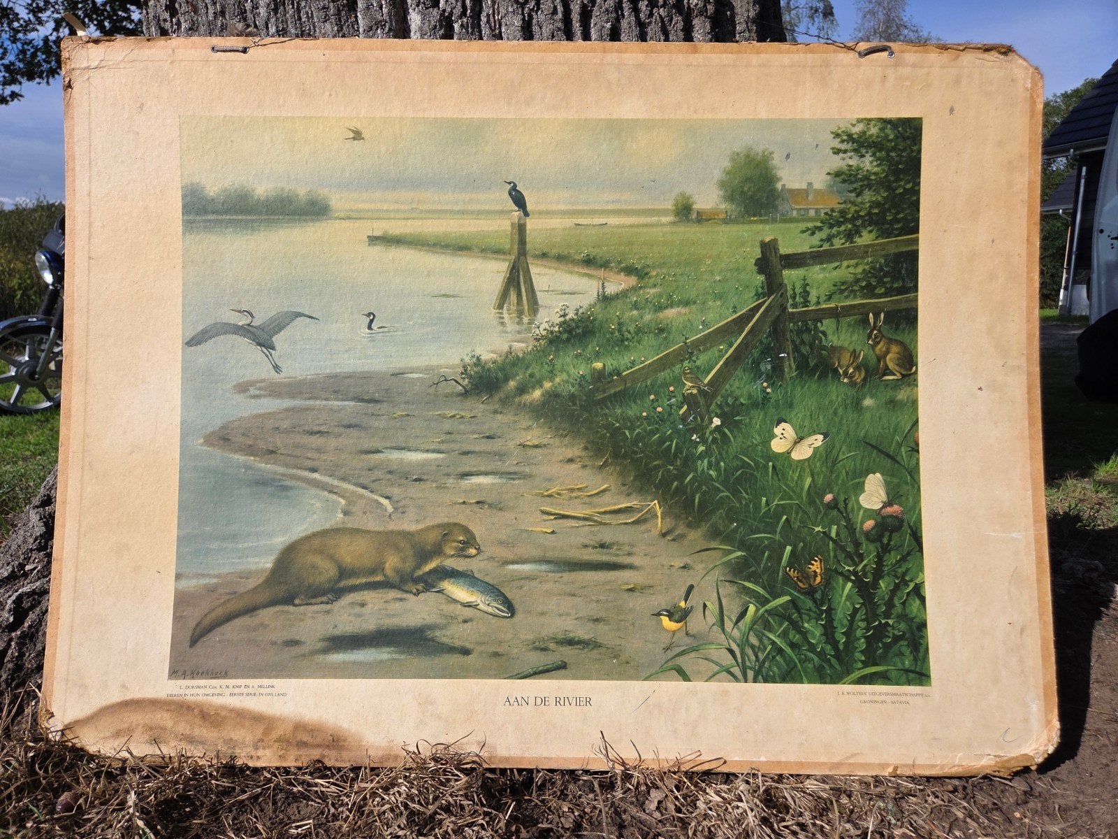 Vintage schoolplaat "Aan de Rivier" - Natuur & Biologie, Ophalen of Verzenden, Natuur en Biologie