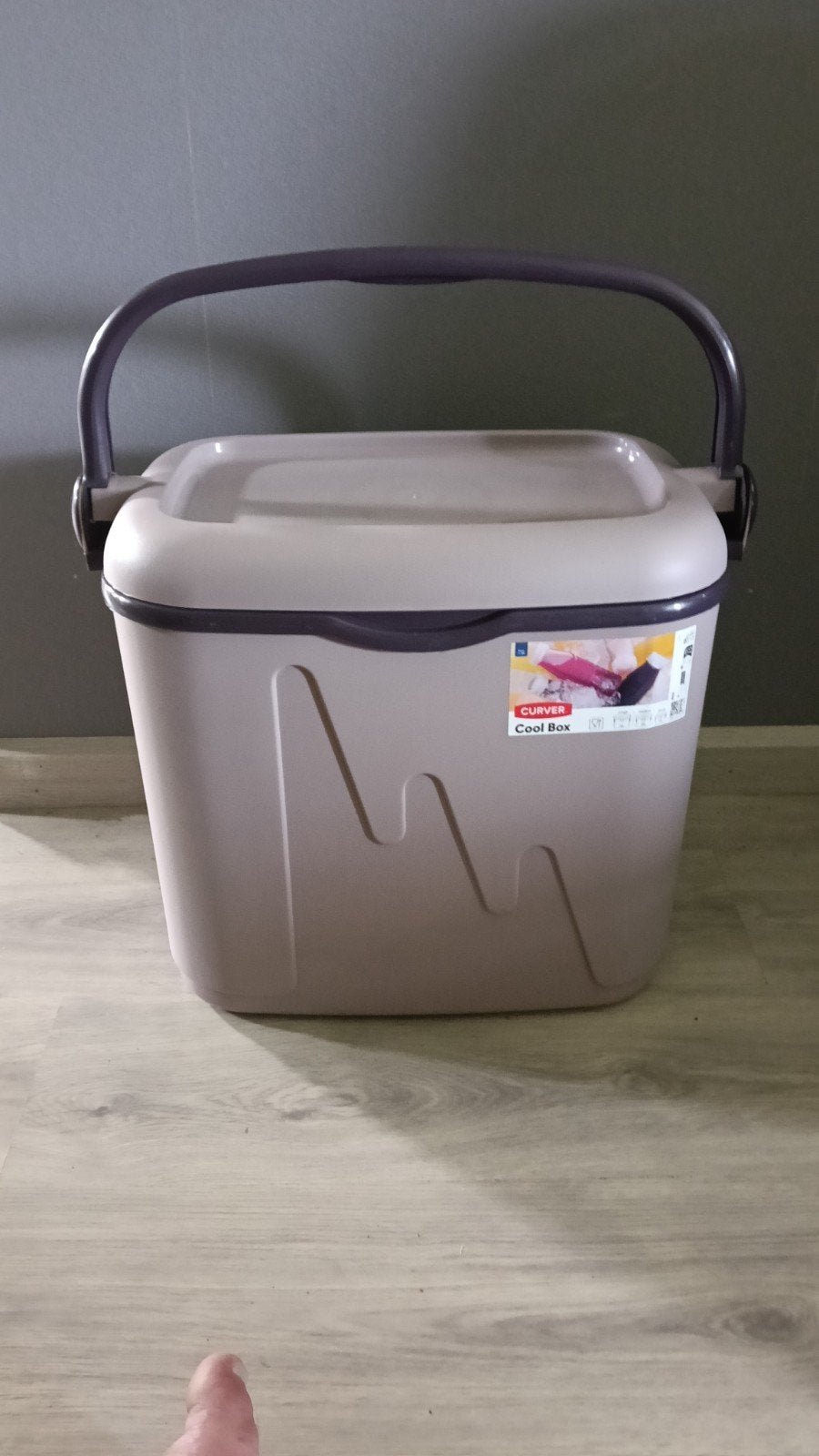 Curver Cool Box - Handige Koelbox met Handvat en Deksel, Ophalen of Verzenden, Gebruikt, Kunststof, Met deksel
