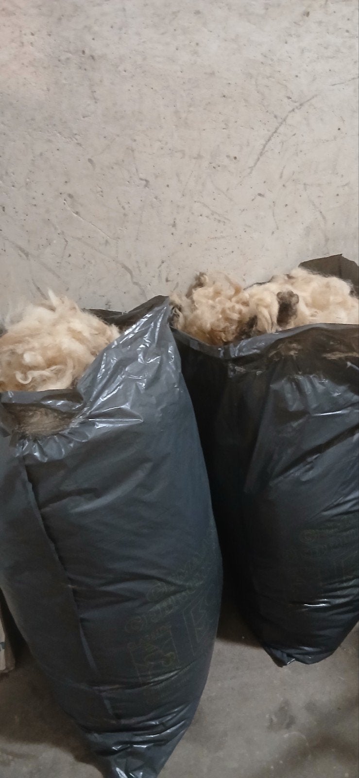 2 volle zakken Walliser Swartznase schapenwol, Ophalen of Verzenden