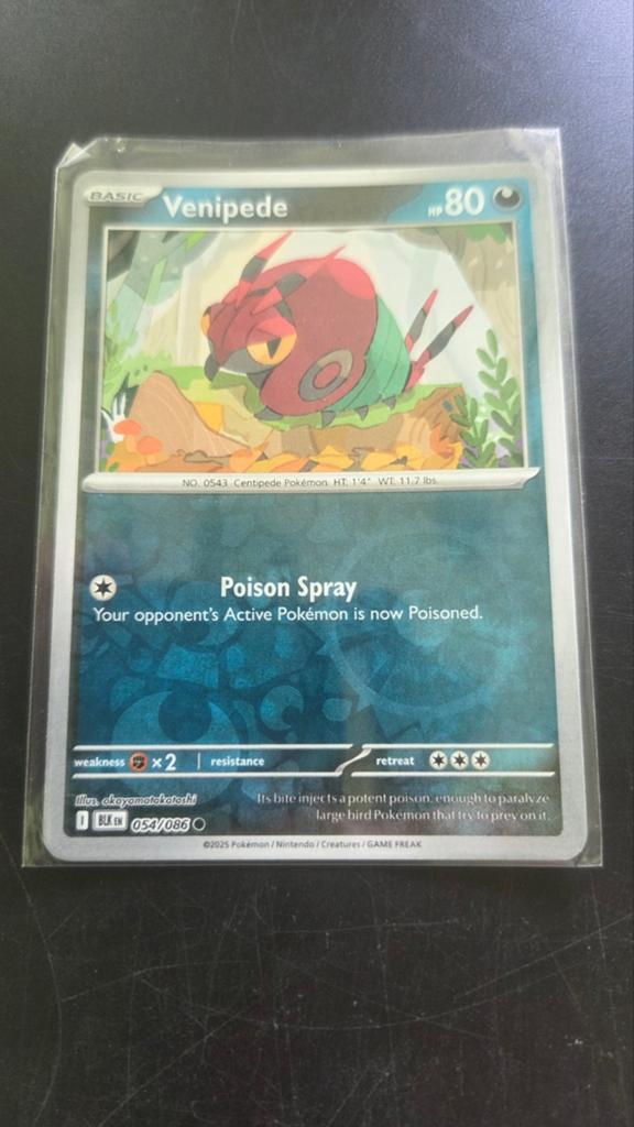 054/086 Venipede (reverse holo) - Black Bolt Pokémon kaart, Verzenden, Zo goed als nieuw, Losse kaart, Foil