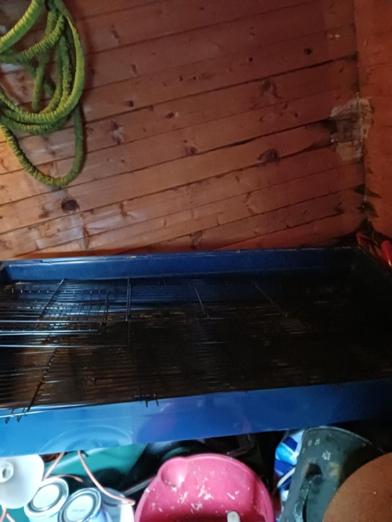 Konijnenhok voor binnen, Ophalen of Verzenden, 75 tot 110 cm, Kooi, Minder dan 60 cm