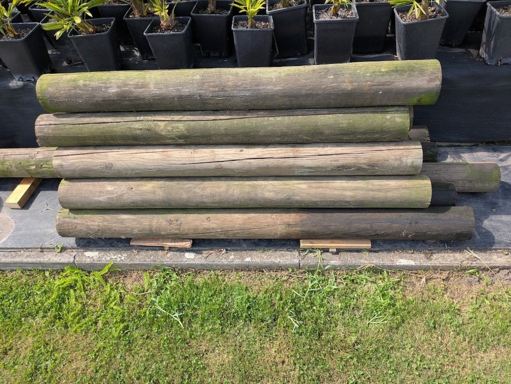 palen ronden  paal hout, Tuin en Terras, Palen, Balken en Planken, Ophalen, Gebruikt, Minder dan 180 cm, Palen