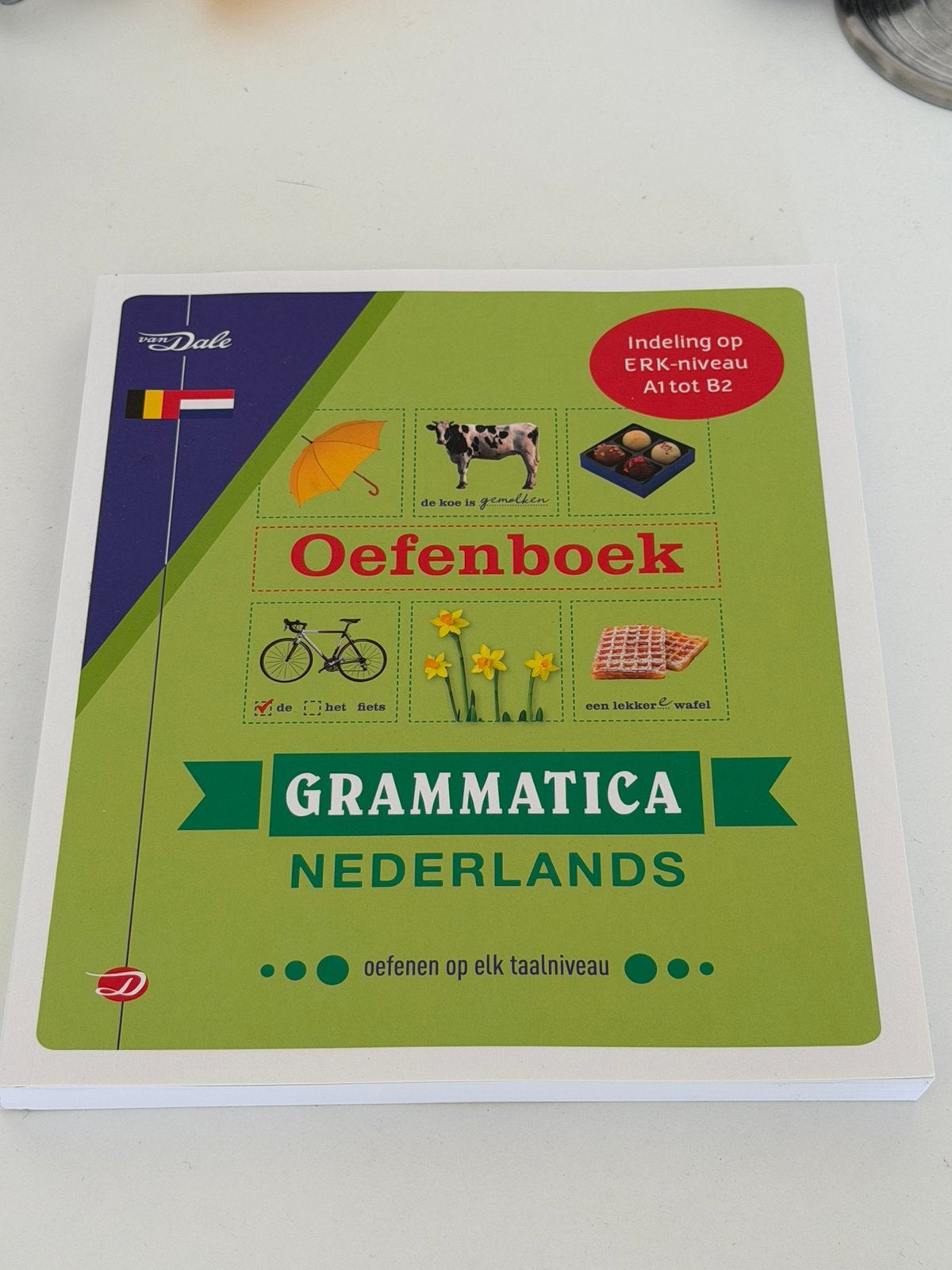 Van Dale Oefenboek grammatica Nederlands, Ophalen of Verzenden, Zo goed als nieuw, Robertha Huitema