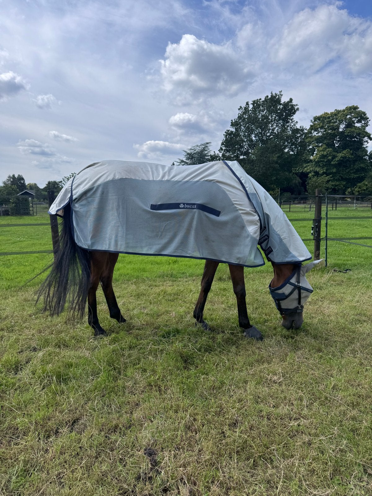 Vliegendeken paard: Bucas Buzz-Off Rain & Neck, Dieren en Toebehoren, Ophalen, Zo goed als nieuw
