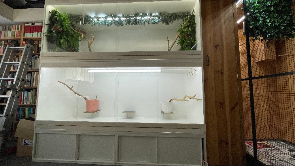 Vogelkooien, vitrine 200x80x80, Ophalen, Gebruikt, Hout, Broedkooi of Kweekkooi