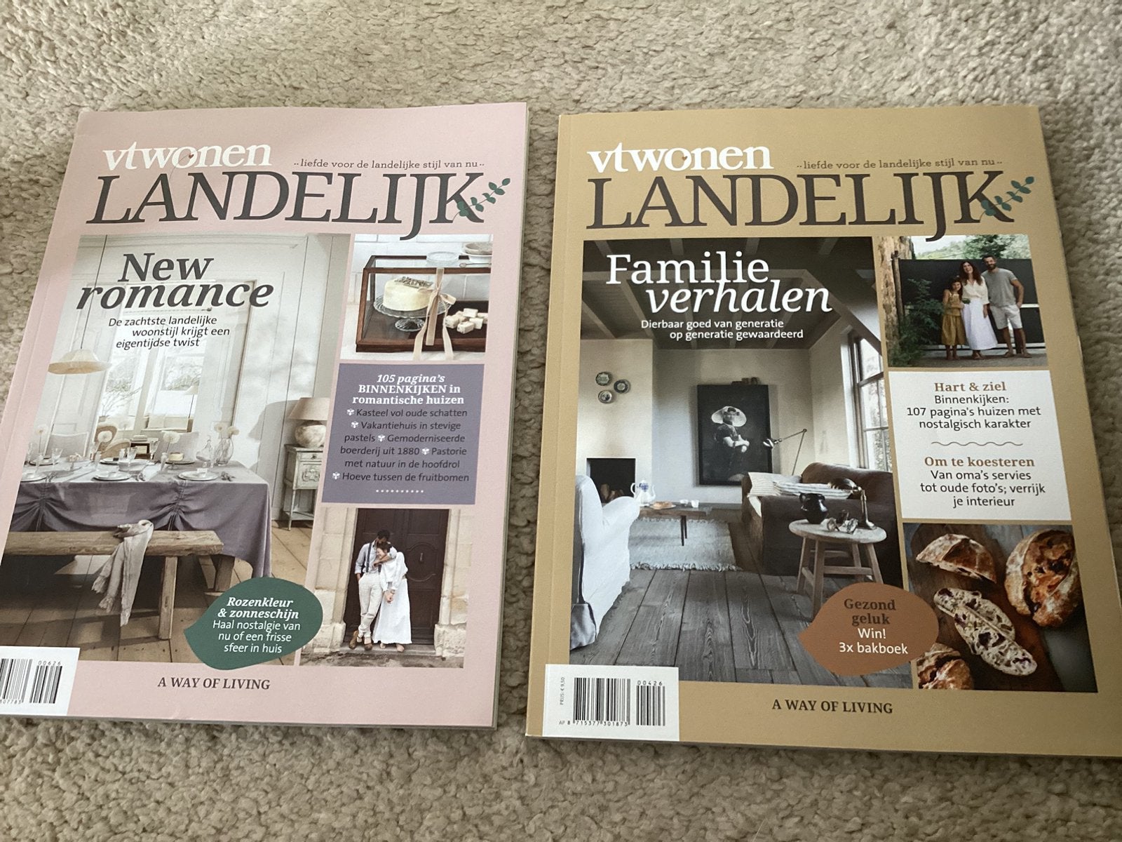 Vt wonen landelijk nr 4 en 6/2026 zgan, Boeken, Ophalen of Verzenden, Zo goed als nieuw, Interieur en Design
