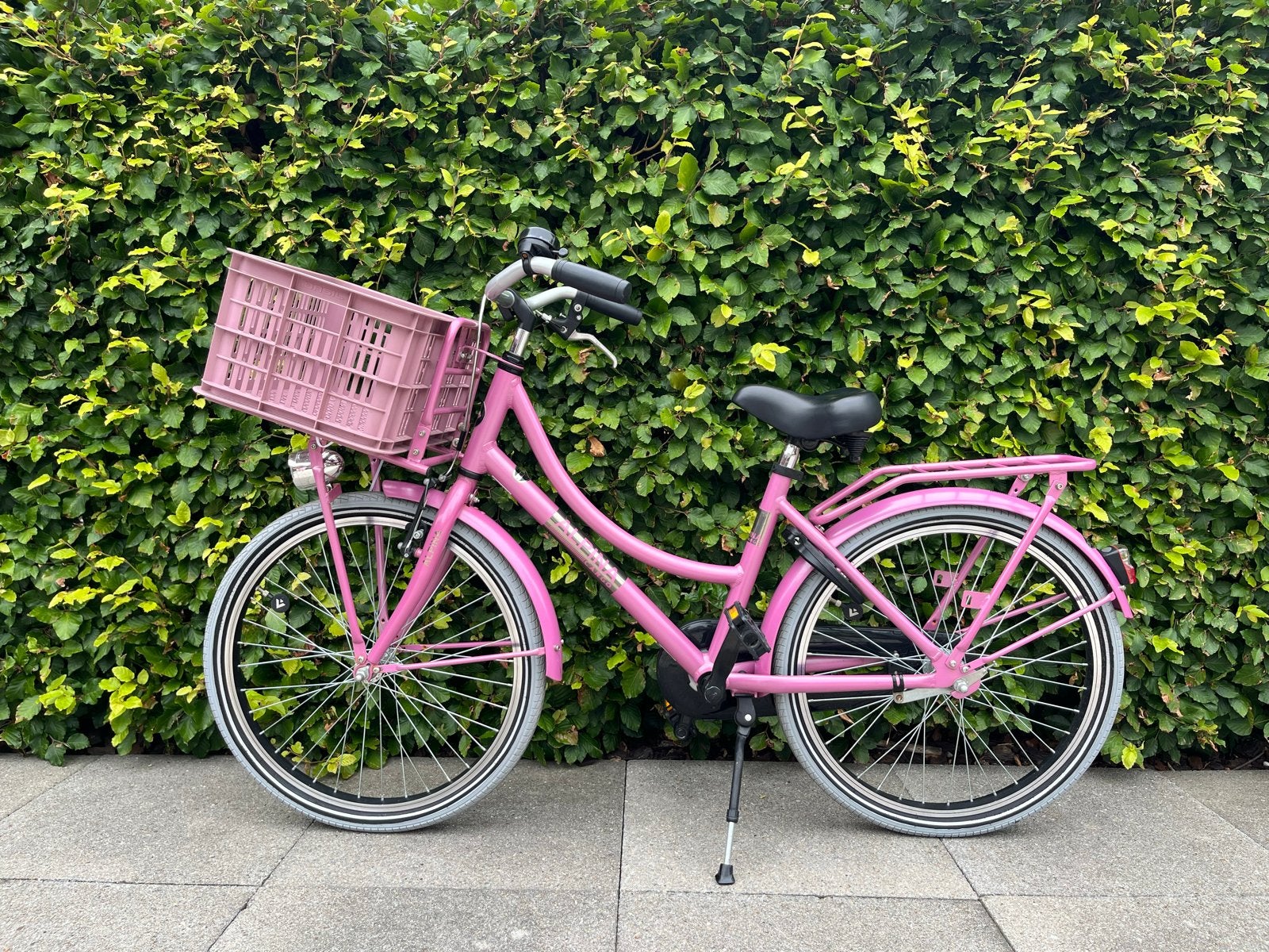 Alpina Cargo meisjesfiets - Roze - 22 inch, Ophalen, Terugtraprem, 22 inch, Gebruikt