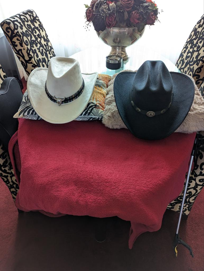 Western of Cowboy hoed, Ophalen of Verzenden, Zo goed als nieuw, One size fits all