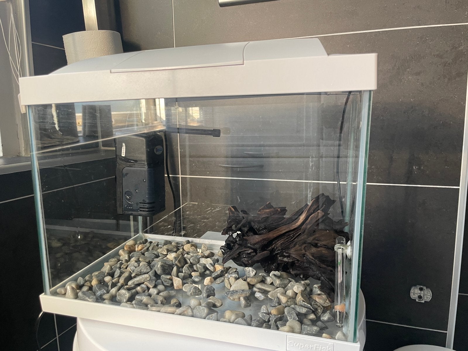 Superfish aquarium, Dieren en Toebehoren, Vissen | Aquaria en Toebehoren, Ophalen, Gebruikt, Leeg aquarium, Superfish