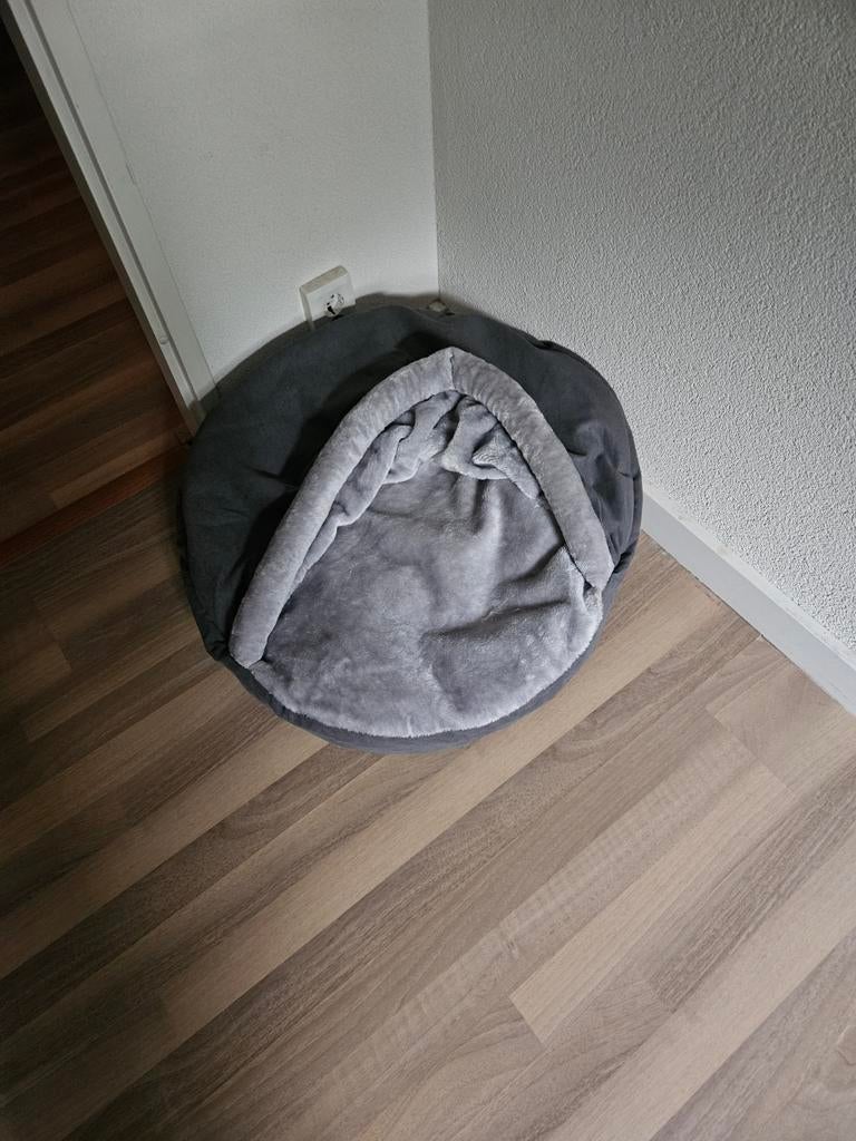 Grote katten kussen, Dieren en Toebehoren, Ophalen