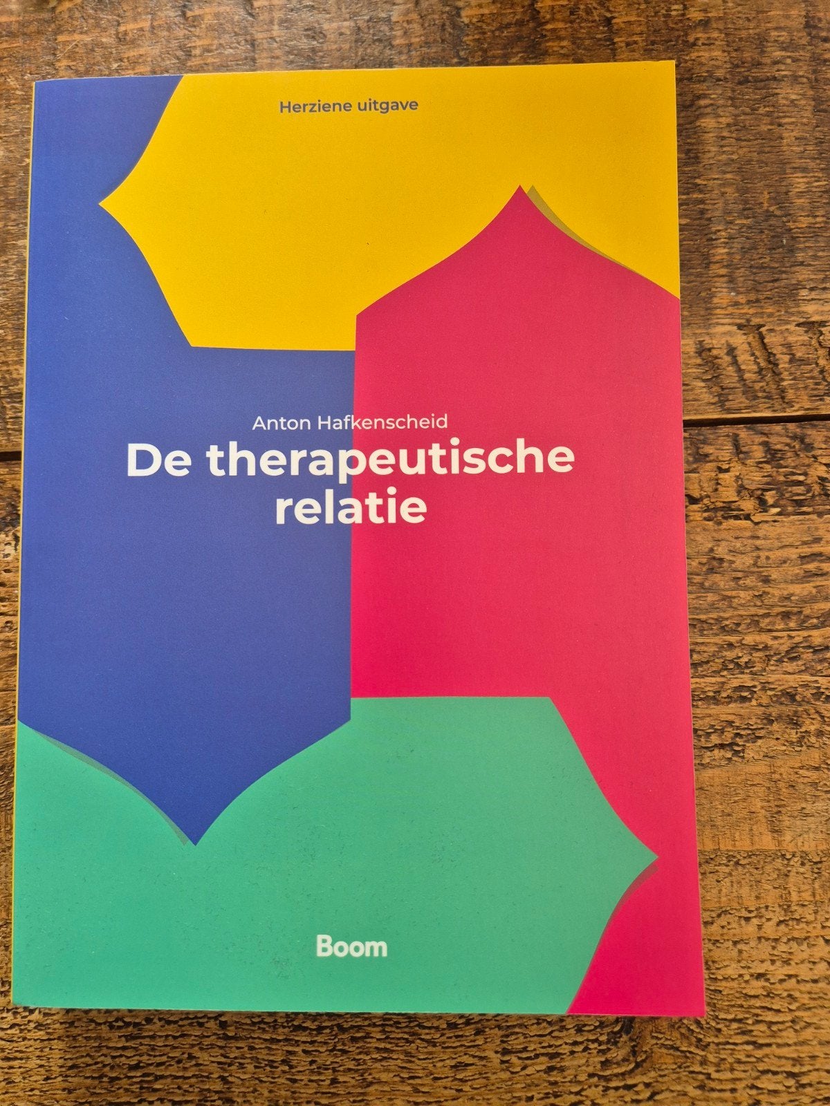 De therapeutische relatie, Nieuw, Anton Hafkenscheid, Beta, HBO