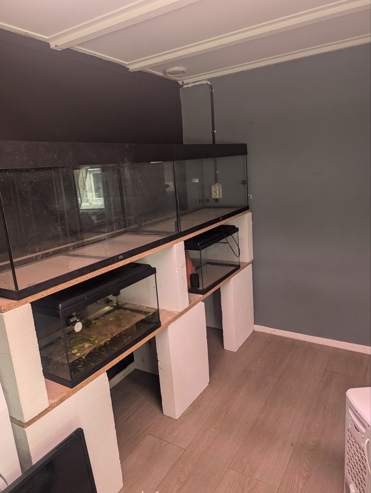 2 x Juwel aquarium 100 x 40 x 50 met lichtkappen zie omschri, Ophalen