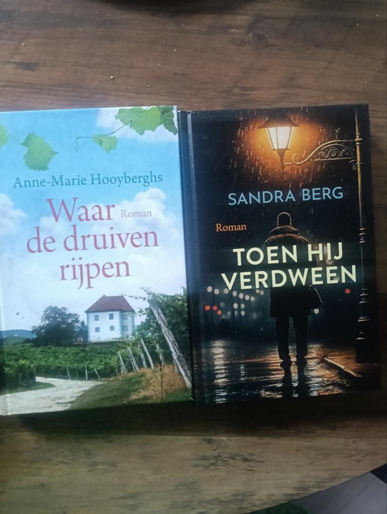 Boekenpakket: Romans van diverse auteurs, Boeken, Ophalen of Verzenden, Gelezen, Diverse auteurs, Nederland